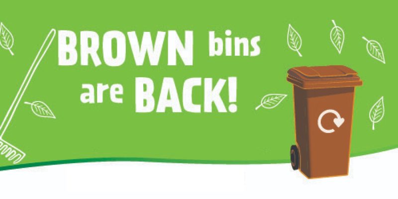 Brown bins are back